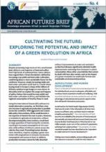 Cultivating the Future: Exploring the Potential and Impact of a Green Revolution in Africa