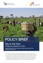 Key to the Horn: Ethiopia's Prospects to 2030