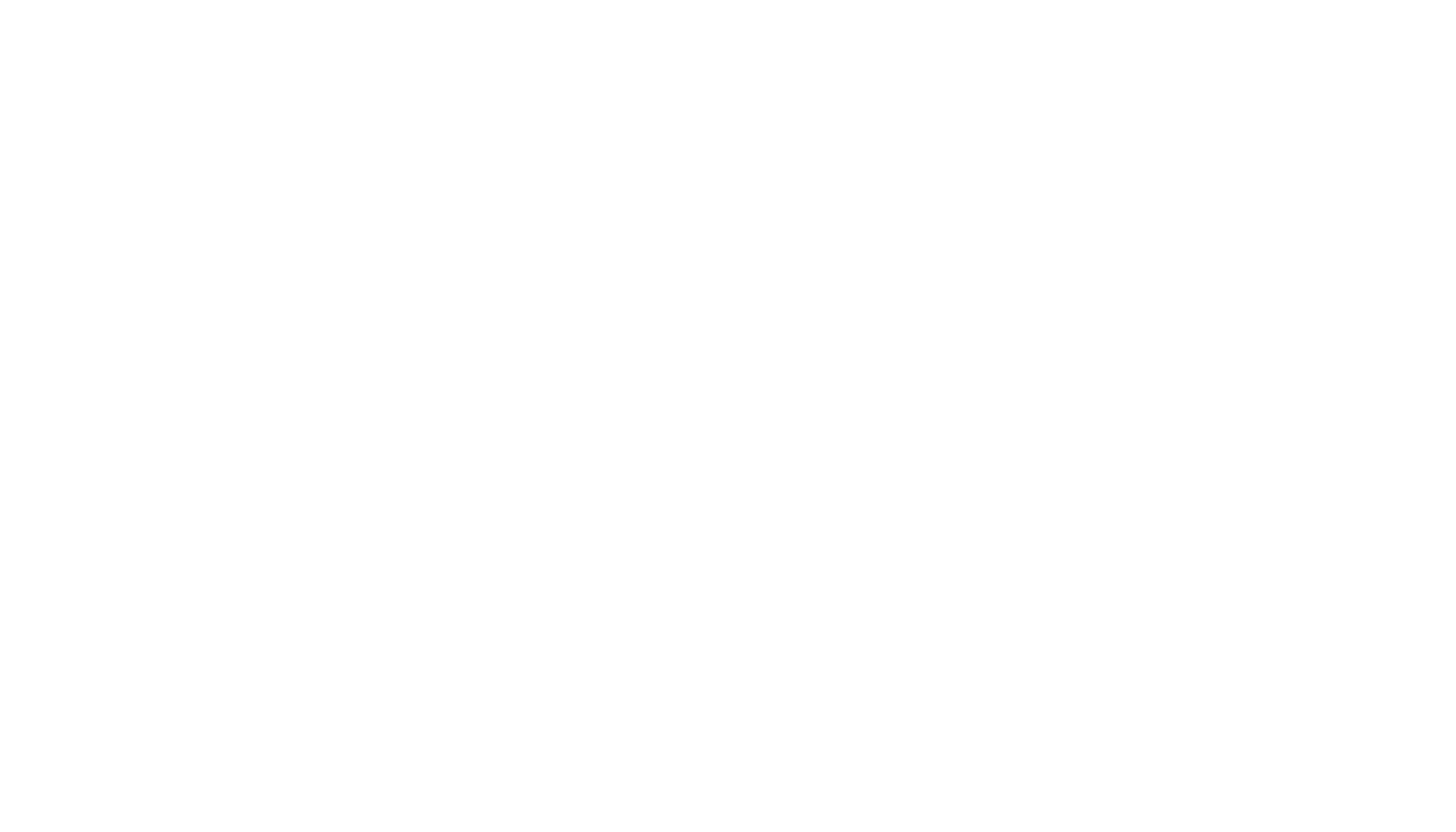 NASPAA Logo in White